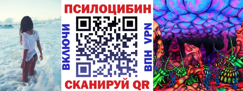 Галлюциногенные грибы Psilocybine cubensis Алапаевск