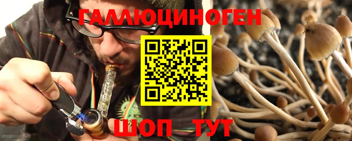 Псилоцибиновые грибы Psilocybe  Вход с VPN  Алапаевск 